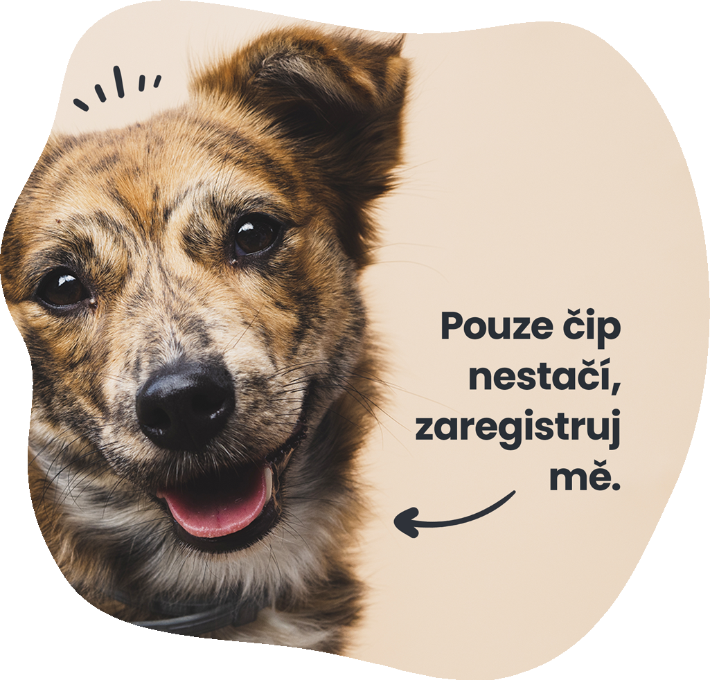Registr psů