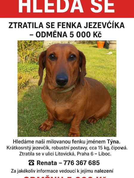 Týna