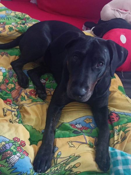 Zoe