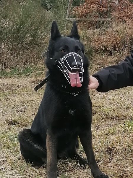 Kira