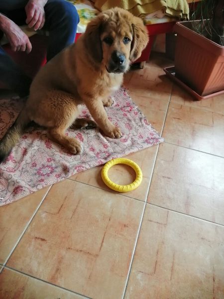 Terka